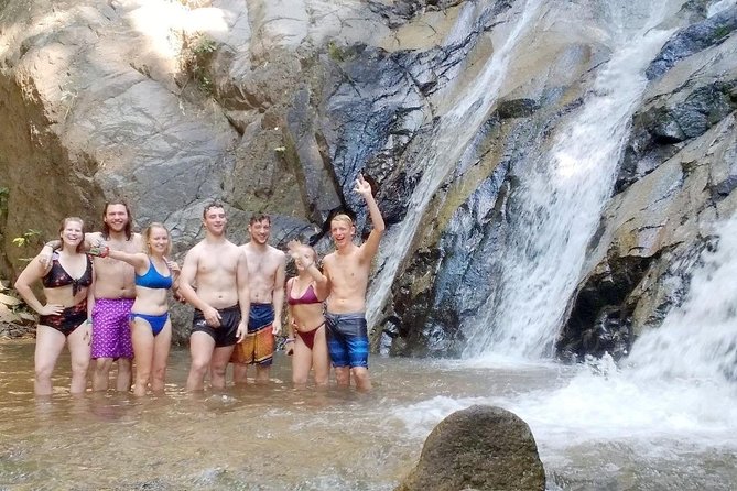 Top Pick - Full or Half Day @Elephant in Wild Sanctuary ChiangMai - Price, group size, and the value trade-offs at $42.04