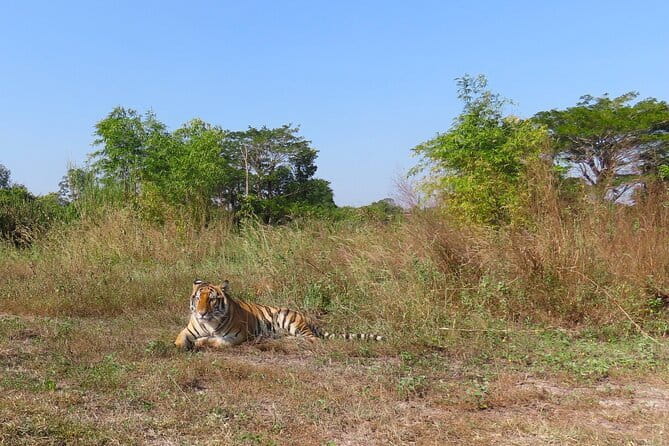 Tour of the Wildlife Rescue Center - Key highlights to know before you go