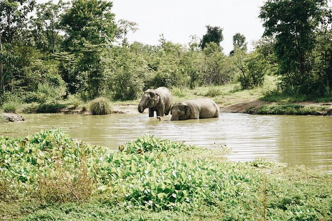 Tour of the Wildlife Rescue Center - What responsible wildlife viewing feels like here