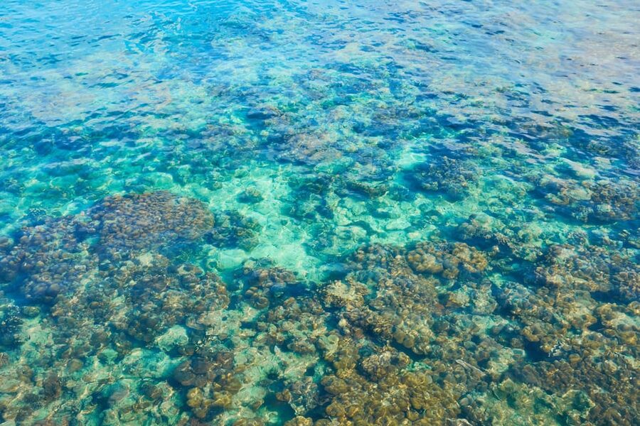 Trang: Full-Day Big Boat Adventure to Kradan & Chueak island - Who This Trip Fits Best (and Who Might Be Happier Elsewhere)