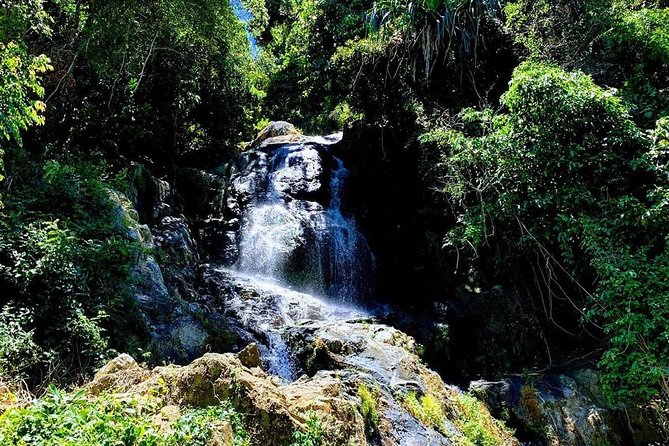 Travstore Original Samui Discovery-Shared Half Day City Tour - Na Muang Waterfall, virgin falls vibes, and the coconut plantation walk