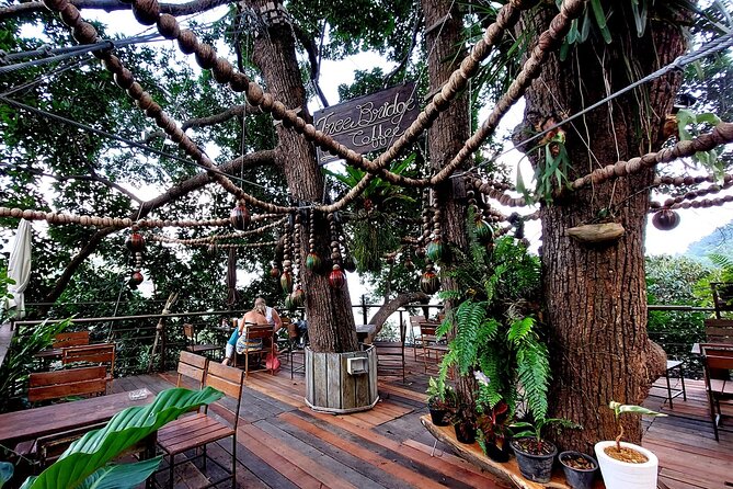 Tree Bridge Cafe And Zipline - Jungle Flight Adventure in Koh Samui - What you actually get for around $55.77 in Koh Samui