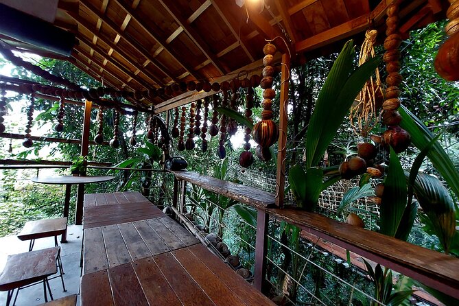 Tree Bridge Cafe And Zipline - Jungle Flight Adventure in Koh Samui - Tree Bridge Cafe: where you cool off and wait for your turn