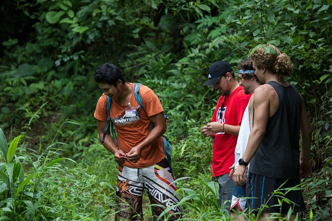Trek to a Jungle Waterfall - The Trek Itself: About 1.6 km Through Jungle Paths