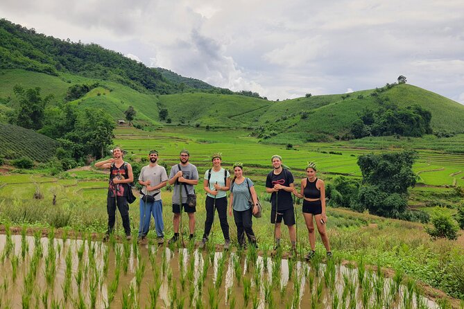 Trekking with Lunch cooked by Bamboo in the Chiang Rai jungle - Key Highlights You Will Actually Feel
