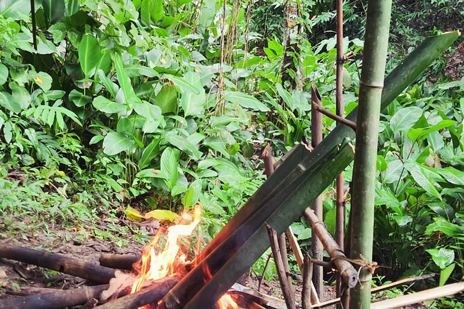 Trekking with Lunch cooked by Bamboo in the Chiang Rai jungle - Aryu, the Local Guide, and Why Small Groups Matter
