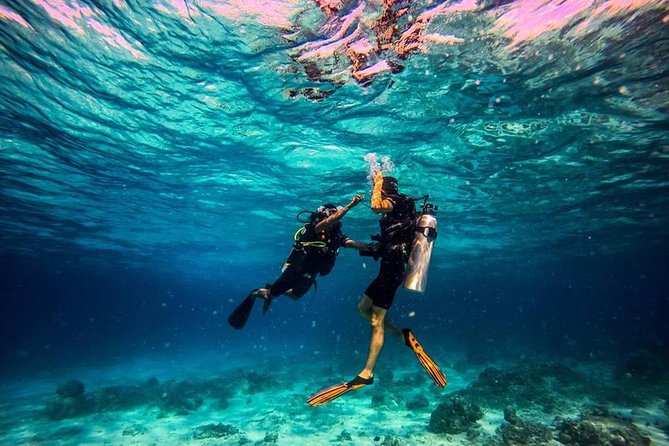 Try Scuba Diving - Price and Value for a Full 8-Hour Koh Tao Day