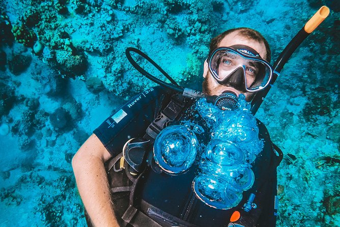 Try Scuba Diving - Who Should Book This Koh Tao First-Time Scuba Program?