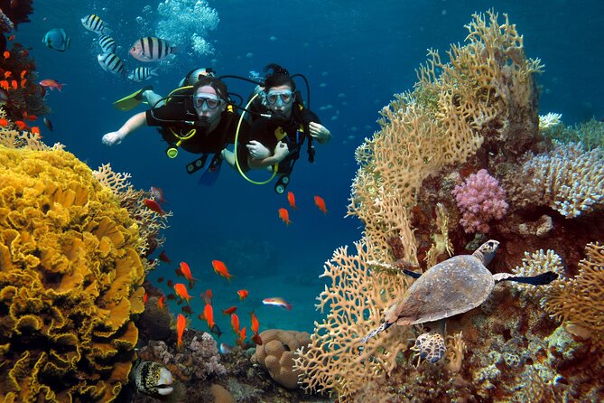 Try Scuba Diving in Racha Yai and Noi for Non-Certified - Key highlights in plain language