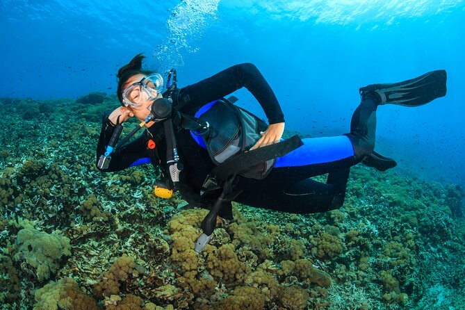Try Scuba Diving in Racha Yai and Noi for Non-Certified - Food, snacks, and boat comfort that make or break the day