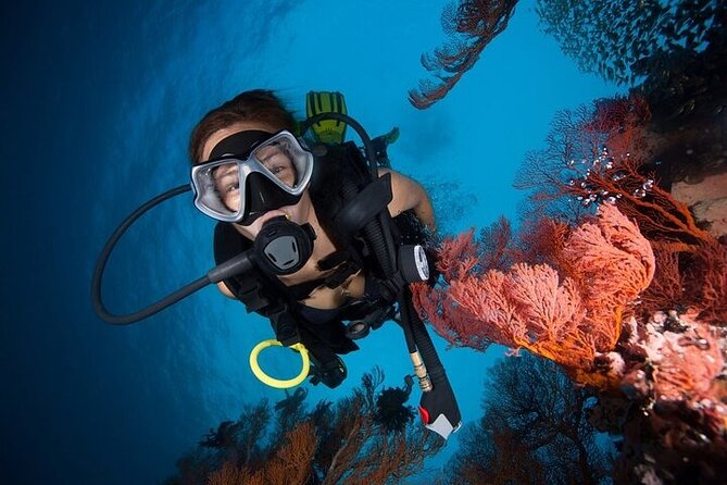 Try Scuba Diving in Racha Yai and Noi for Non-Certified - Safety, insurance, and the health rules you must respect