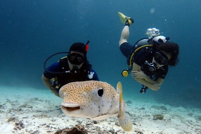 Try Scuba Diving in Racha Yai and Noi for Non-Certified - Racha Yai and Noi: how the day flows under the water