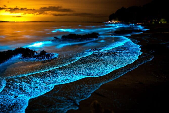 Twiligth Sea Canoe and Bioluminescent Plankton - Key highlights to know before you go