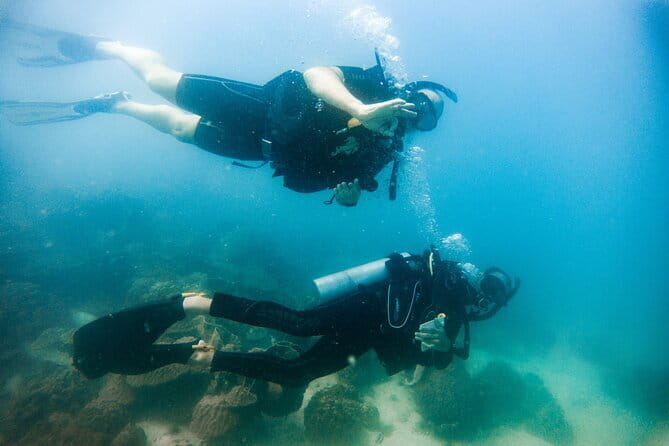 Two Fun Dives for Certified Divers in Koh Kood or Koh Rang - Two underwater sessions for certified divers, and the depth reality