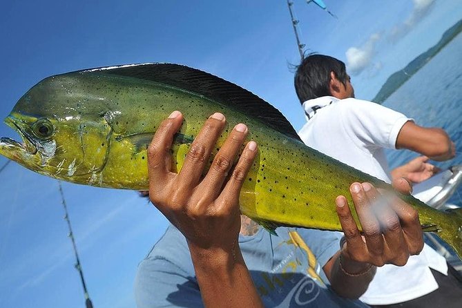 Ultimate Full-Day Big Game Fishing & Trolling Tour - Price and Value: Is $104.17 Worth It in Phuket?