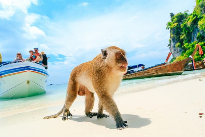 VIP Private Boat to Phi Phi Island: Snorkeling + Land Tour - Monkey Beach and the Limestone Cliff Backdrop
