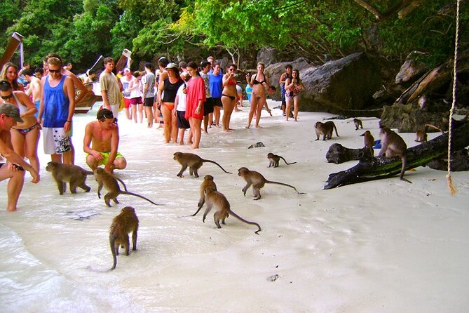 VIP Private Boat to Phi Phi Island: Snorkeling + Land Tour - Pileh Lagoon and Phi Phi Don: Emerald Water and a Full Stop Window