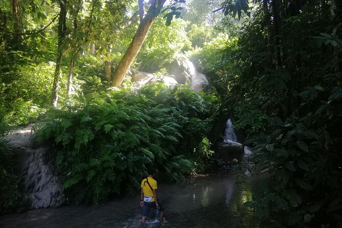 Visit Dantewada(Angel Land), Blue Temple, and Sticky Waterfall - Why This 3-Stop Chiang Mai Day Just Makes Sense