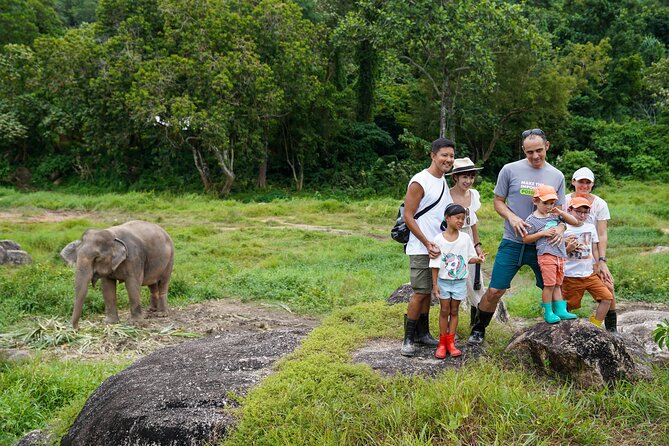 Walk and Feed at Bukit Elephant Park Phuket - Price and Value: Why $51.92 Might Make Sense