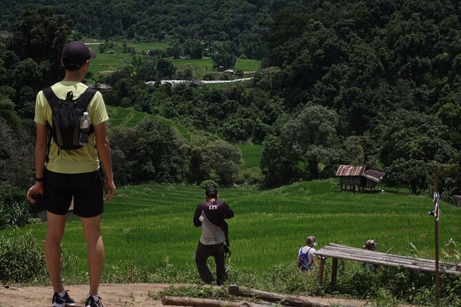 Waterfall Wanderer Doi Inthanon Hiking Tour - Cooling off in natural swimming pools: when to pack for wet fun