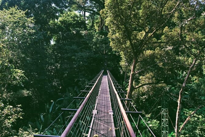 World B+ (Zipline 18 Platforms + Roller + Sky Walk with World Set Menu ) - Sky Walk on two sky bridges: where the views and calm take over