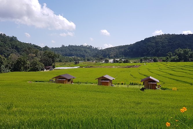 Wow! Doi Inthanon National Park Adventure, Lunch & Entry Included - Doi Inthanon highest spot: easy nature walk, birds, and the summit marker moment