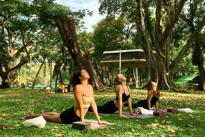 Yoga in the Park Thailand - What Happens in the 90 Minutes: Meditation, Pranayama, and Asana Flows