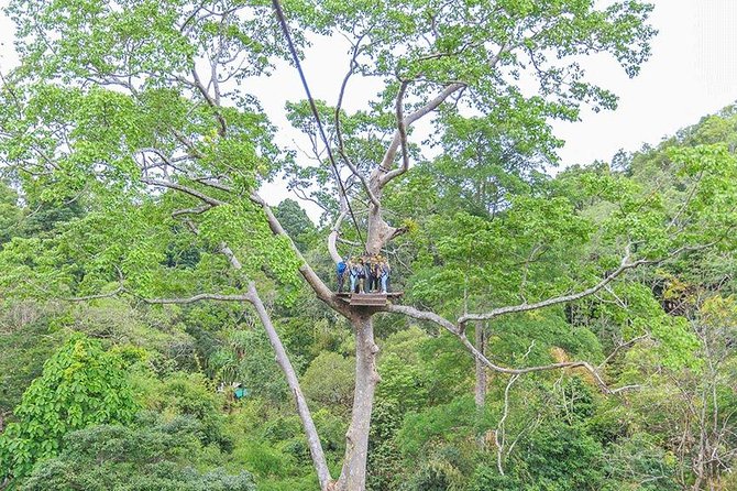 Zipline 18 Platforms and ATV Adventure Tour From Phuket - The ATV upgrade: jungle tracks and the Big Buddha viewpoint