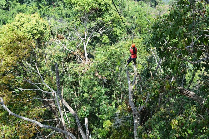 Zipline Adventure at Skyline Jungle Luge Chiang Mai - Lunch Break: Buffet Food, Seasonal Fruit, and Fuel for the Finish