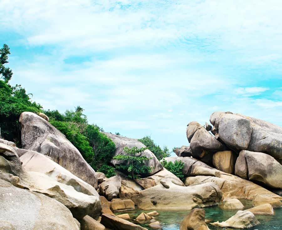Zipline in Koh Samui Adventure activity tour - A north Koh Samui zipline circuit, built for a one-day hit