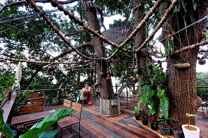 Zipline Ride on Koh Samui - How Long It Takes and Why Scheduling Choice Matters