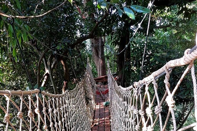 Zipline Ride on Koh Samui - Transportation Reality Check: Pickup Timing and Extra Costs
